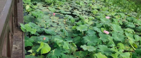 1655970881140210.png 1655970881140210.png