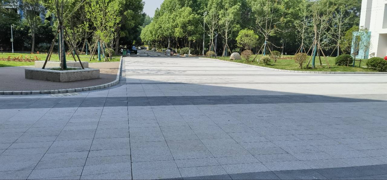 1685962245115113.jpg 1685962245115113.jpg