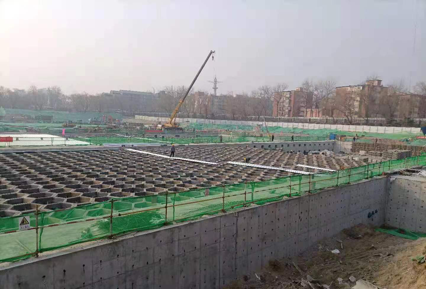 1691059262484141.jpg 1691059262484141.jpg