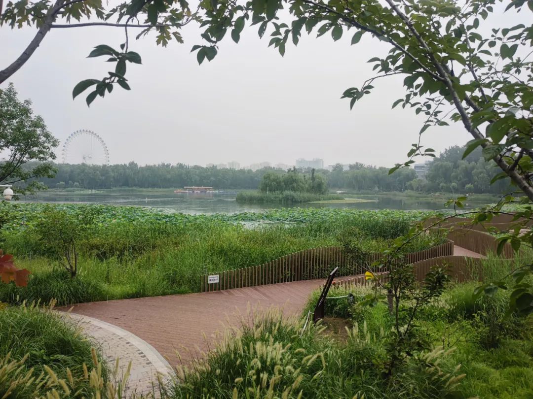 1692323755600088.jpg 1692323755600088.jpg