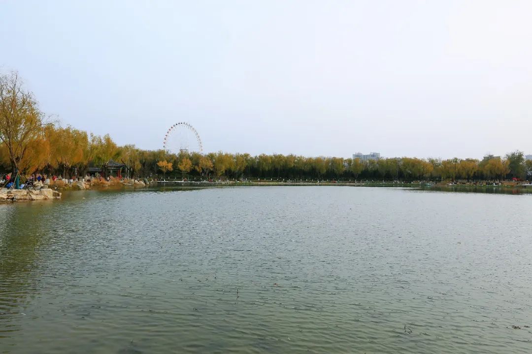 1692325292931790.jpg 1692325292931790.jpg