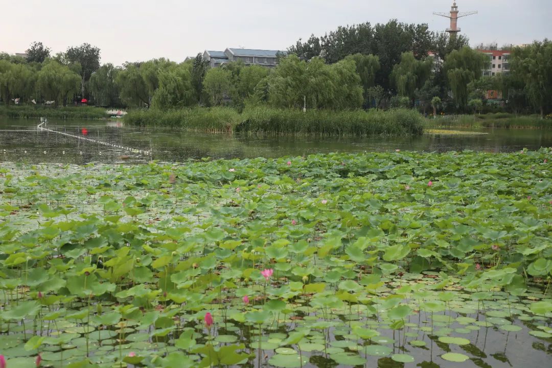 1692325379559923.jpg 1692325379559923.jpg