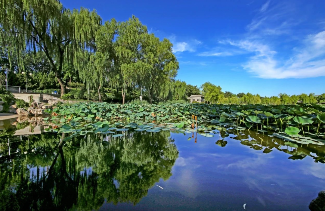 1692349995505971.png 1692349995505971.png