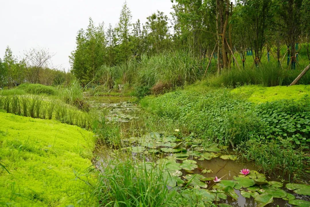 1701925970759066.png 1701925970759066.png