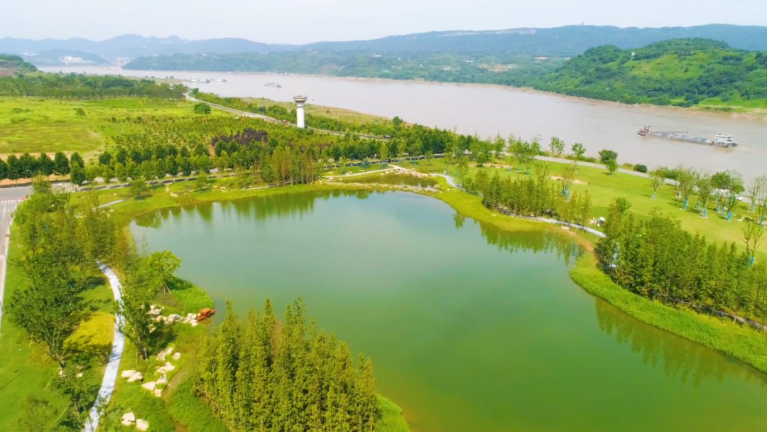 1701926065597187.png 1701926065597187.png