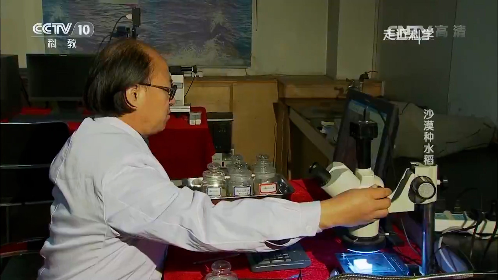 1703225465238310.jpg 1703225465238310.jpg