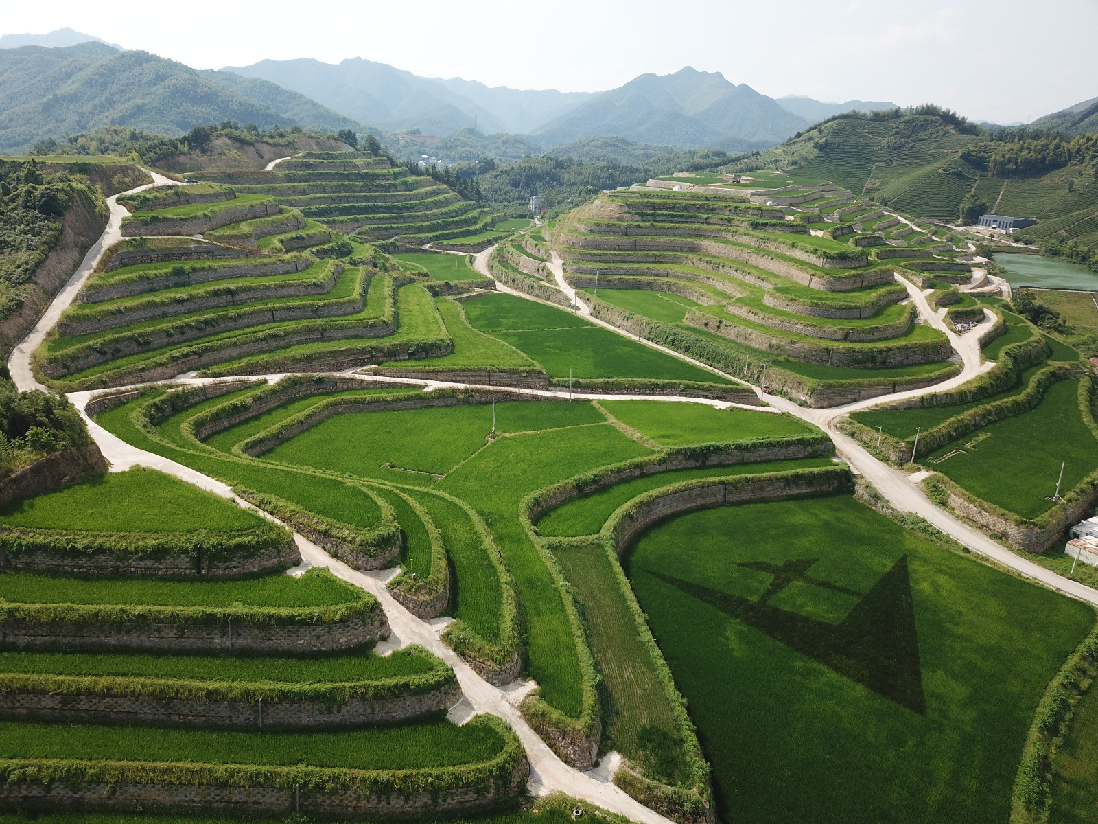 1716553500157995.jpg 1716553500157995.jpg