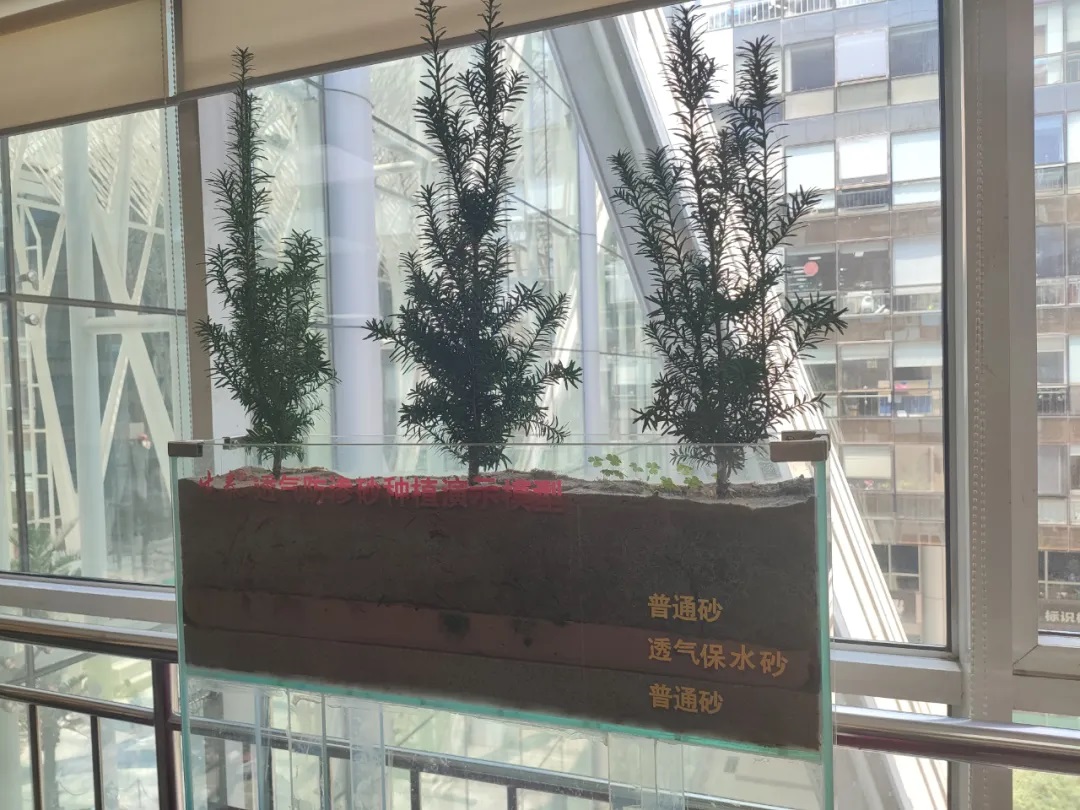 1716553817815112.jpg 1716553817815112.jpg