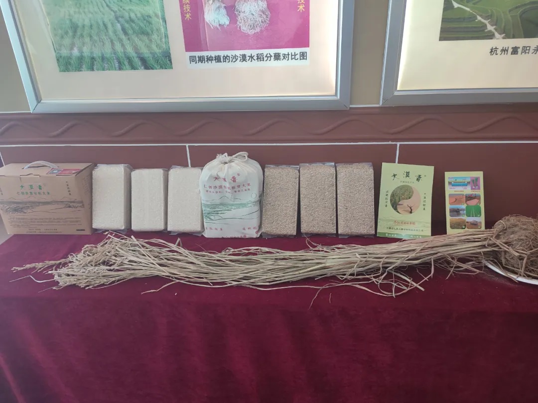 1716553846691959.jpg 1716553846691959.jpg