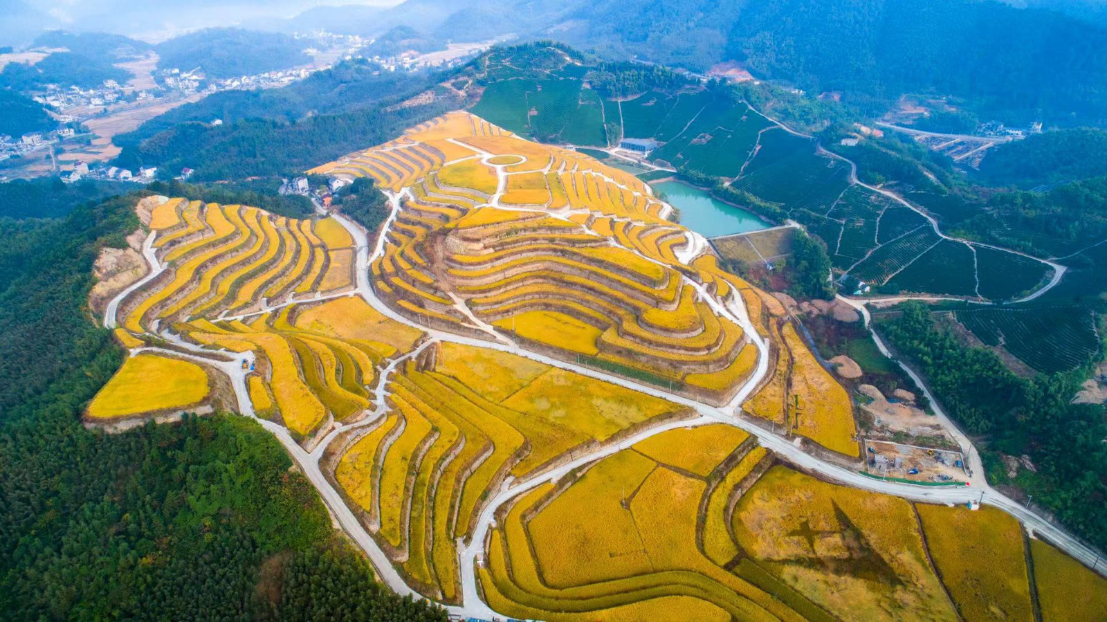 1716554115509218.jpg 1716554115509218.jpg