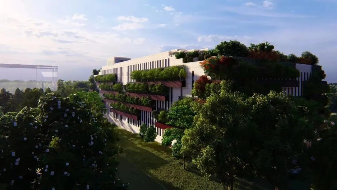 1716554472359919.jpg 1716554472359919.jpg