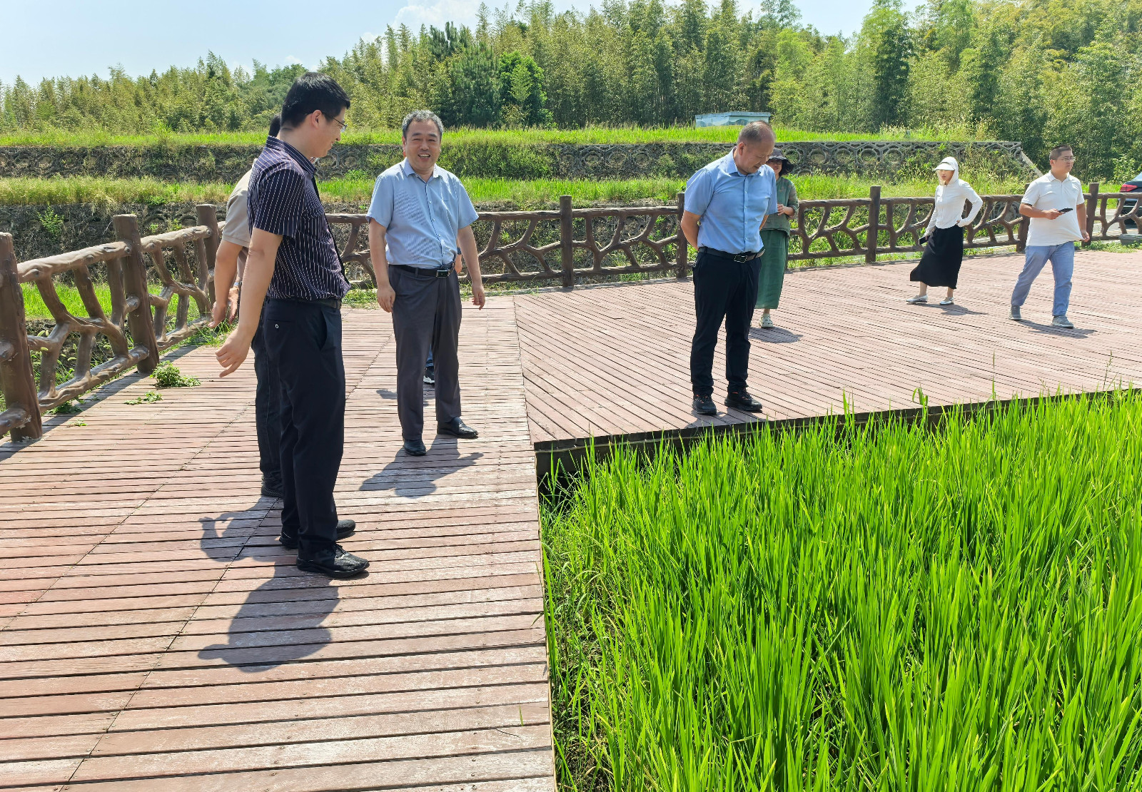 1724116075586118.jpg 1724116075586118.jpg