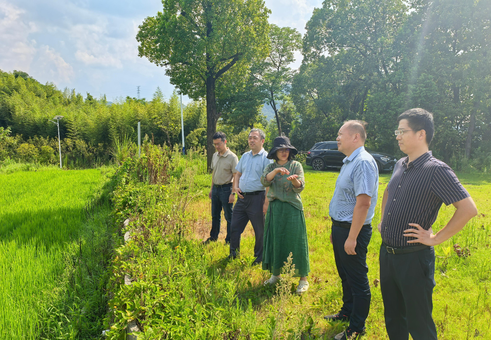 1724116103238067.jpg 1724116103238067.jpg