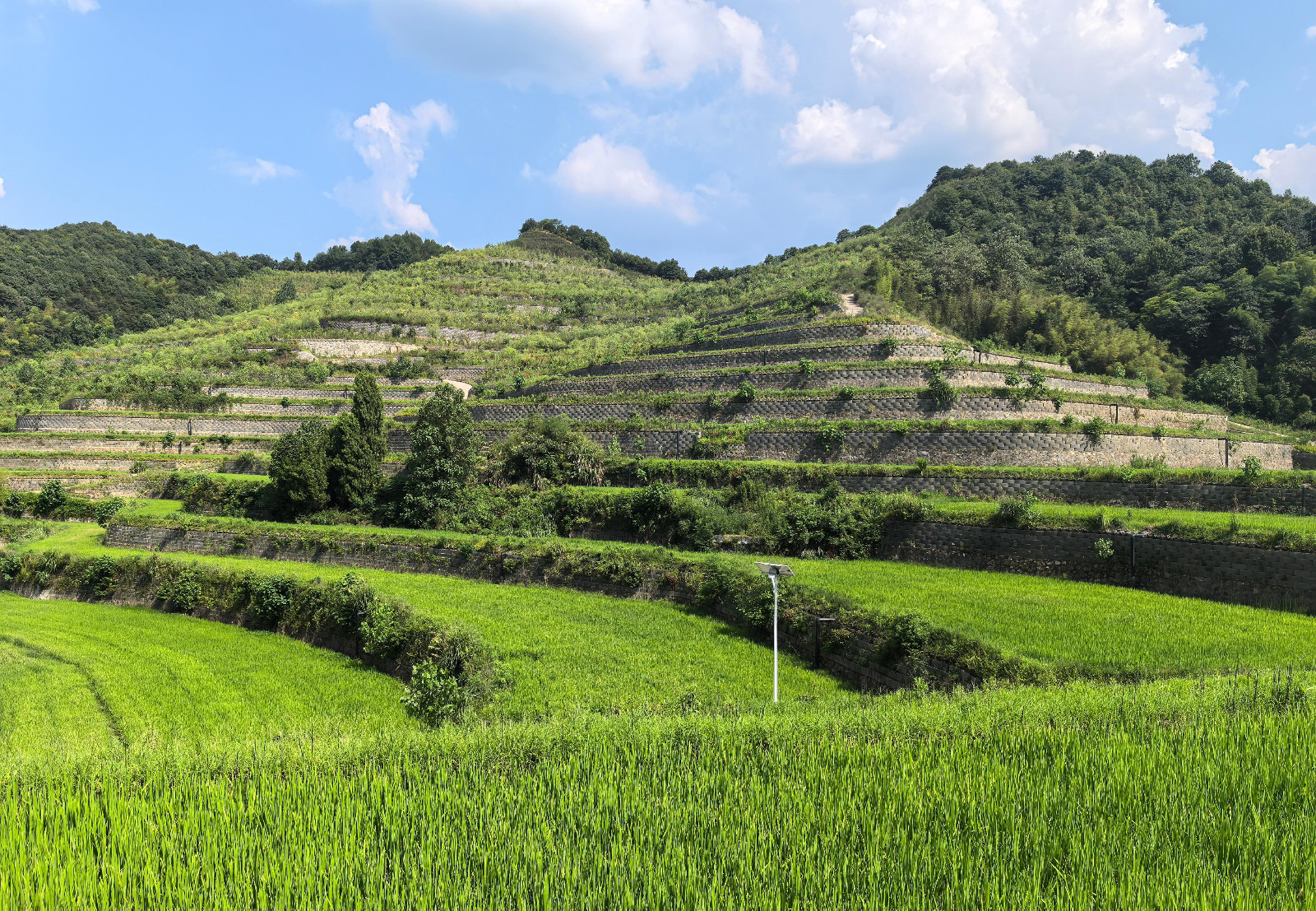 1724116136828521.jpg 1724116136828521.jpg