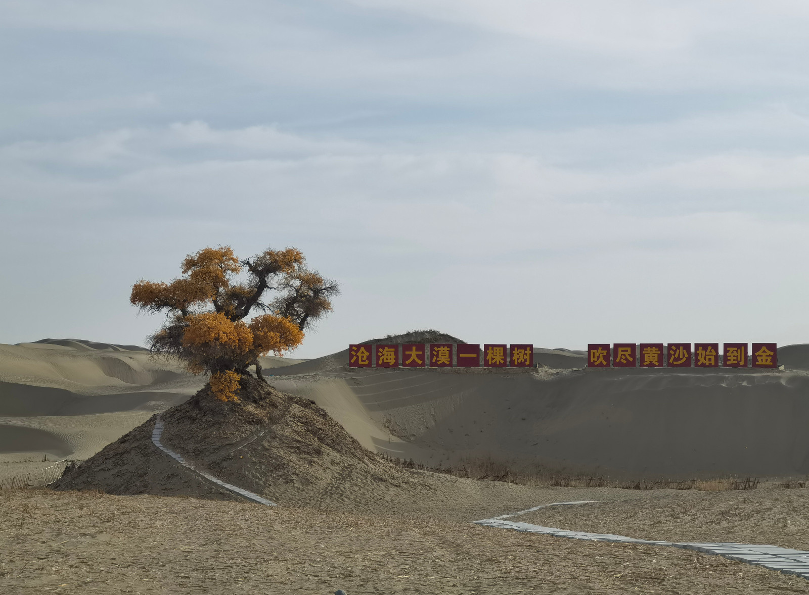 1730939228147543.jpg 1730939228147543.jpg